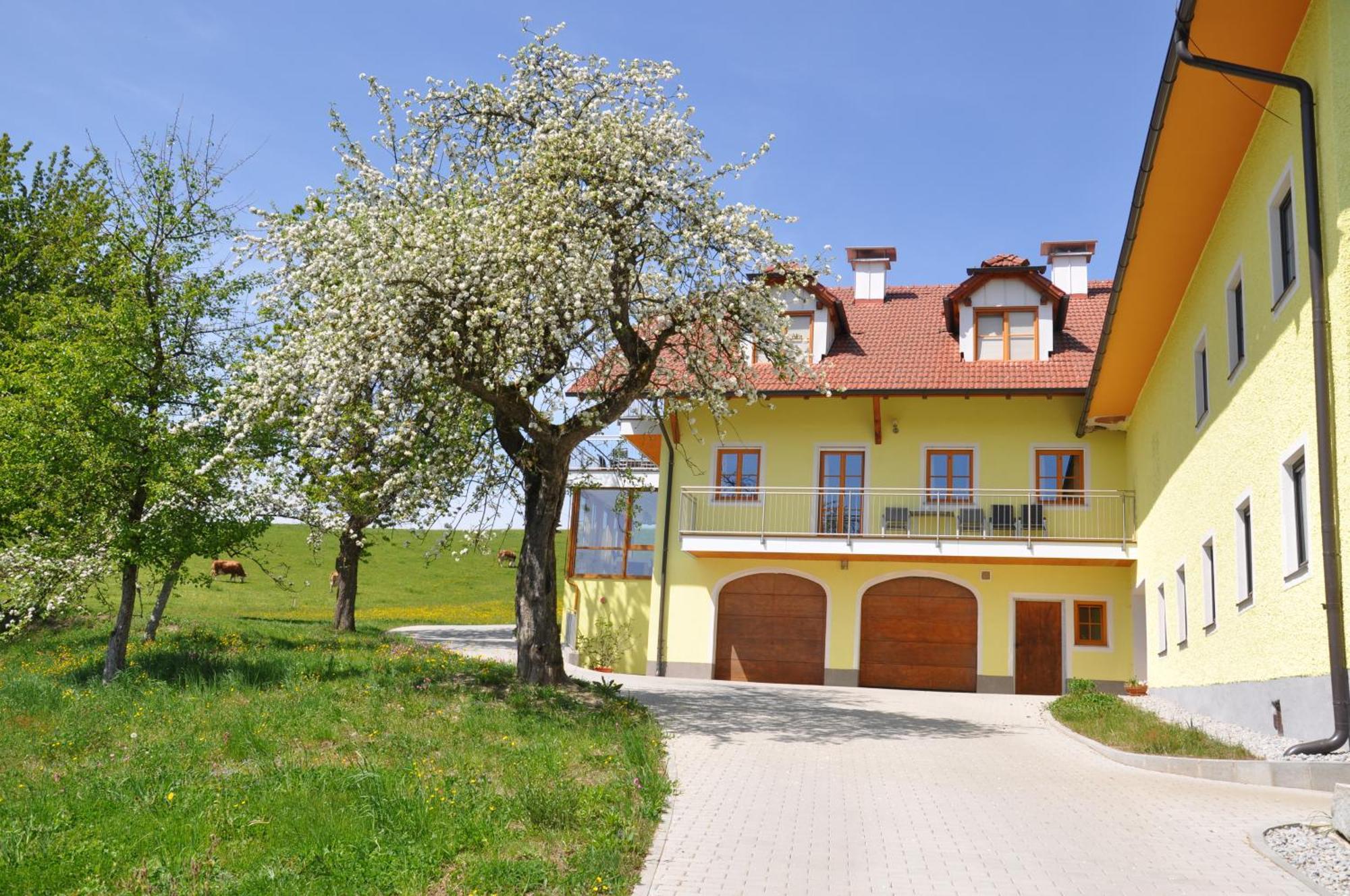 Ferienwohnung Mayrhofer Hofkirchen im Mühlkreis Esterno foto